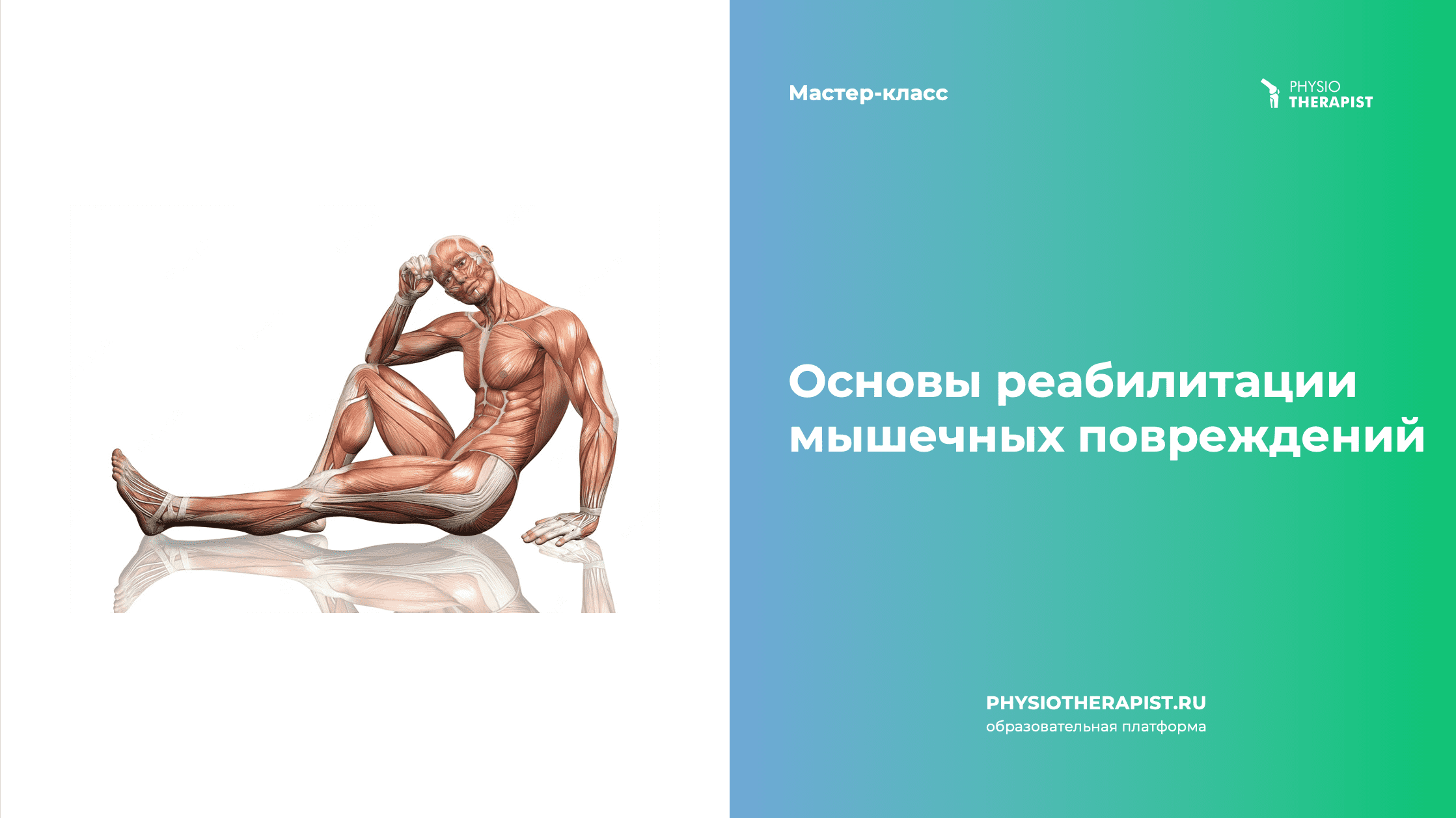 Основы реабилитации мышечных повреждений