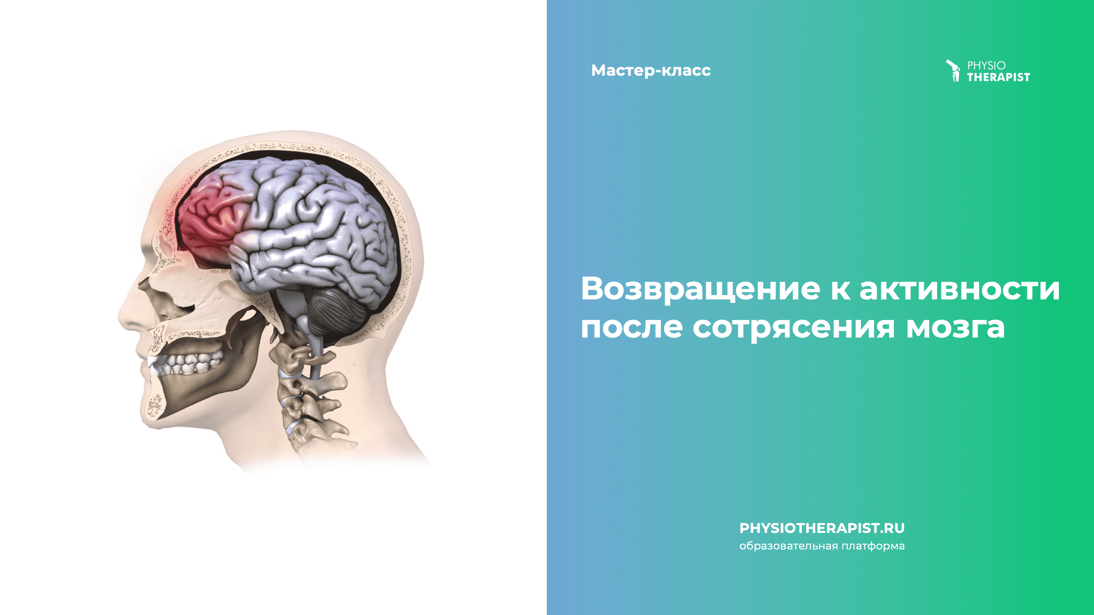 Возвращение к активности после сотрясения мозга